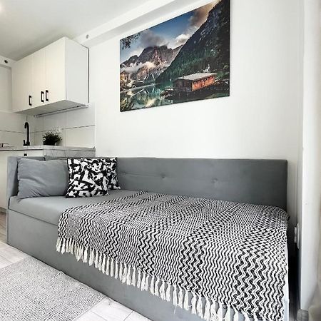 Apartament Goplanska Free Parking Self Check-In 24H Poznan Luaran gambar